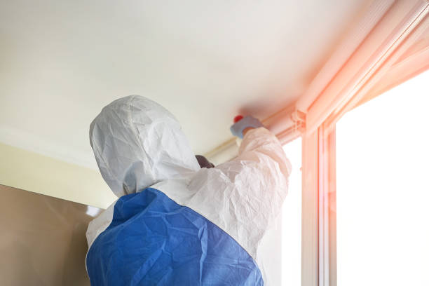 Best Mold Removal for HVAC Installations in Wanamingo, MN